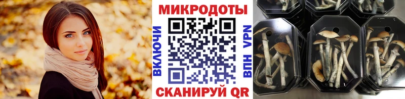 Галлюциногенные грибы GOLDEN TEACHER  Миасс 